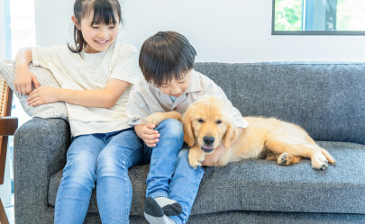 子どもとゴールデンレトリーバー